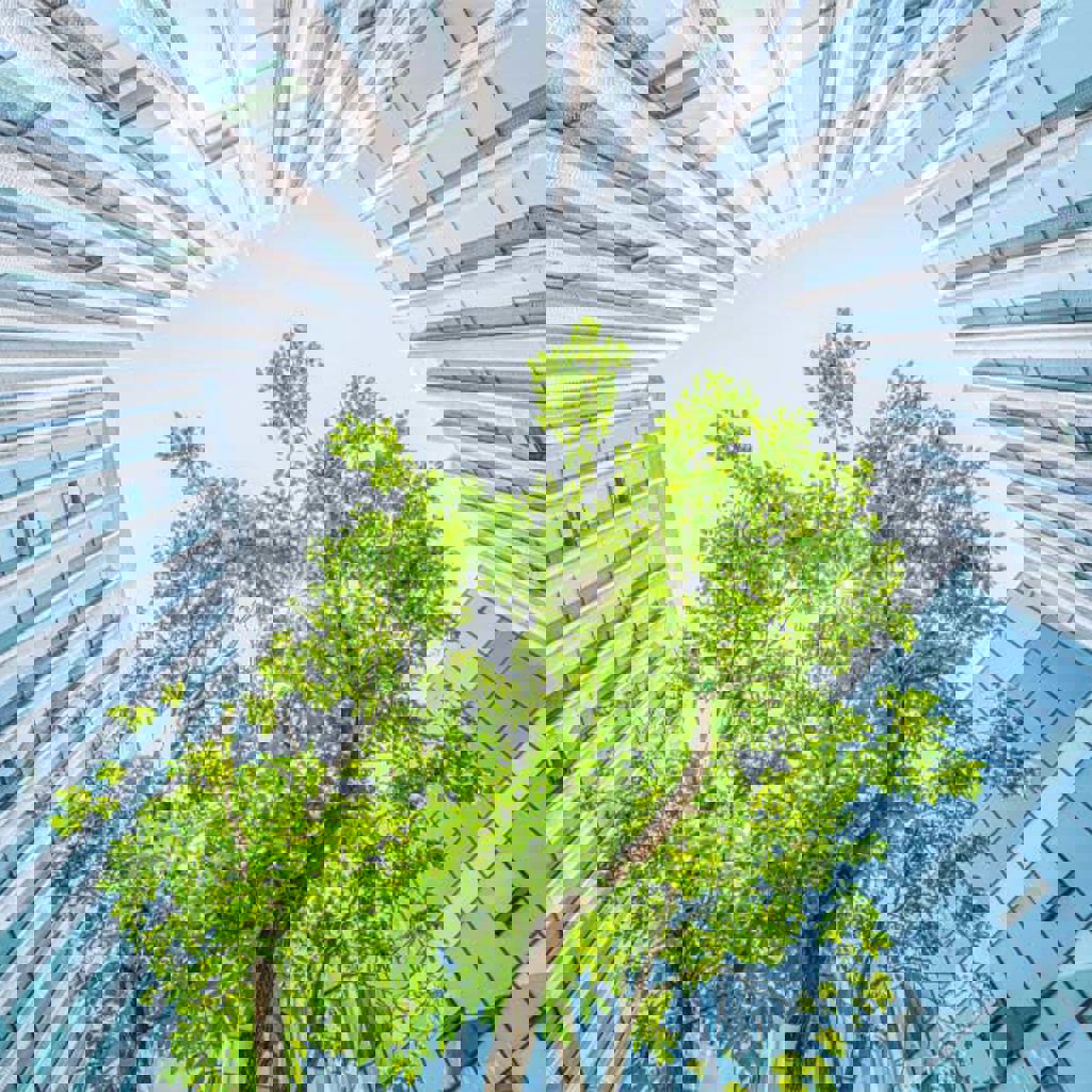 A tree in front of a building.