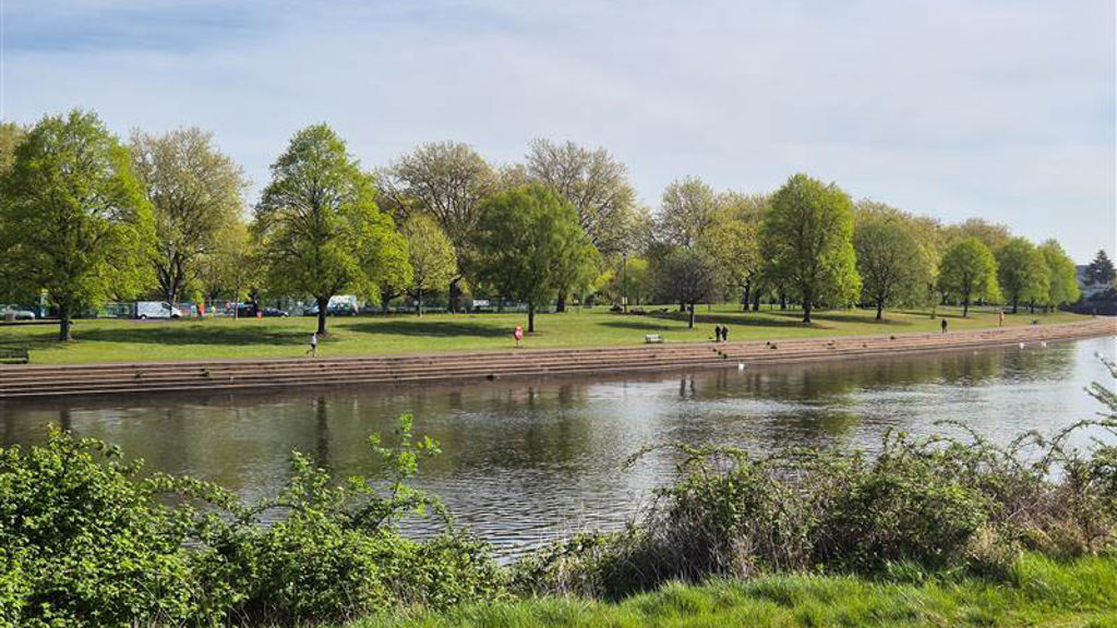 A pond with grass and trees around it.