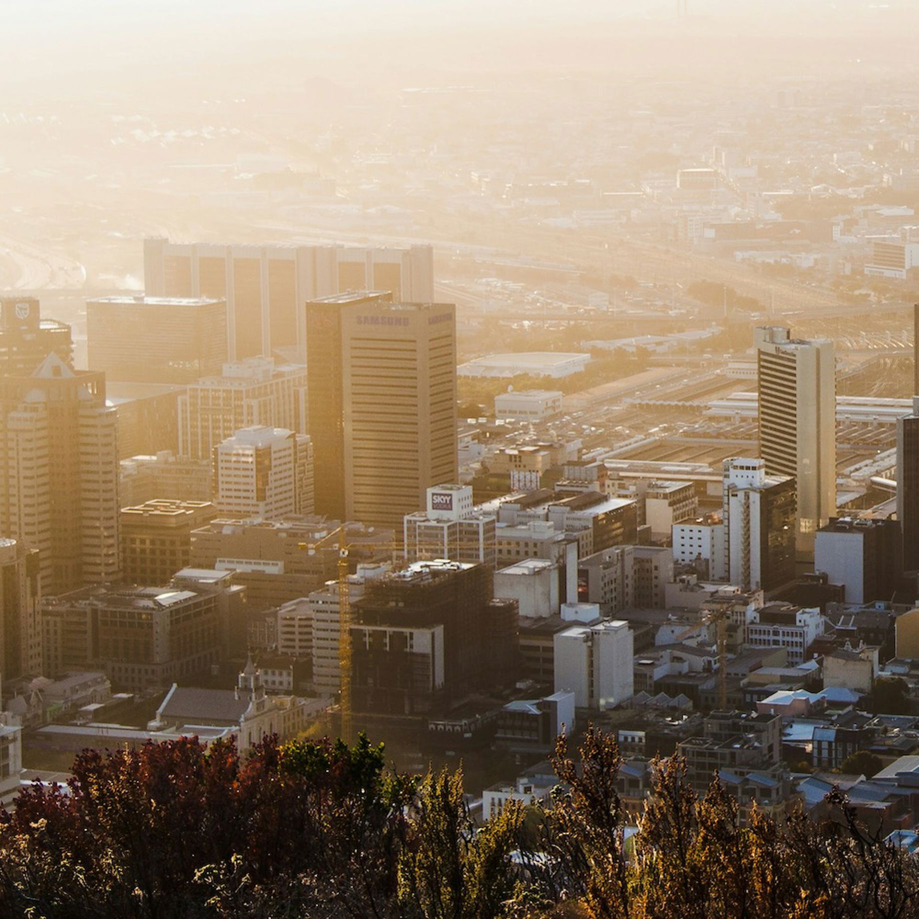 A city with many buildings.
