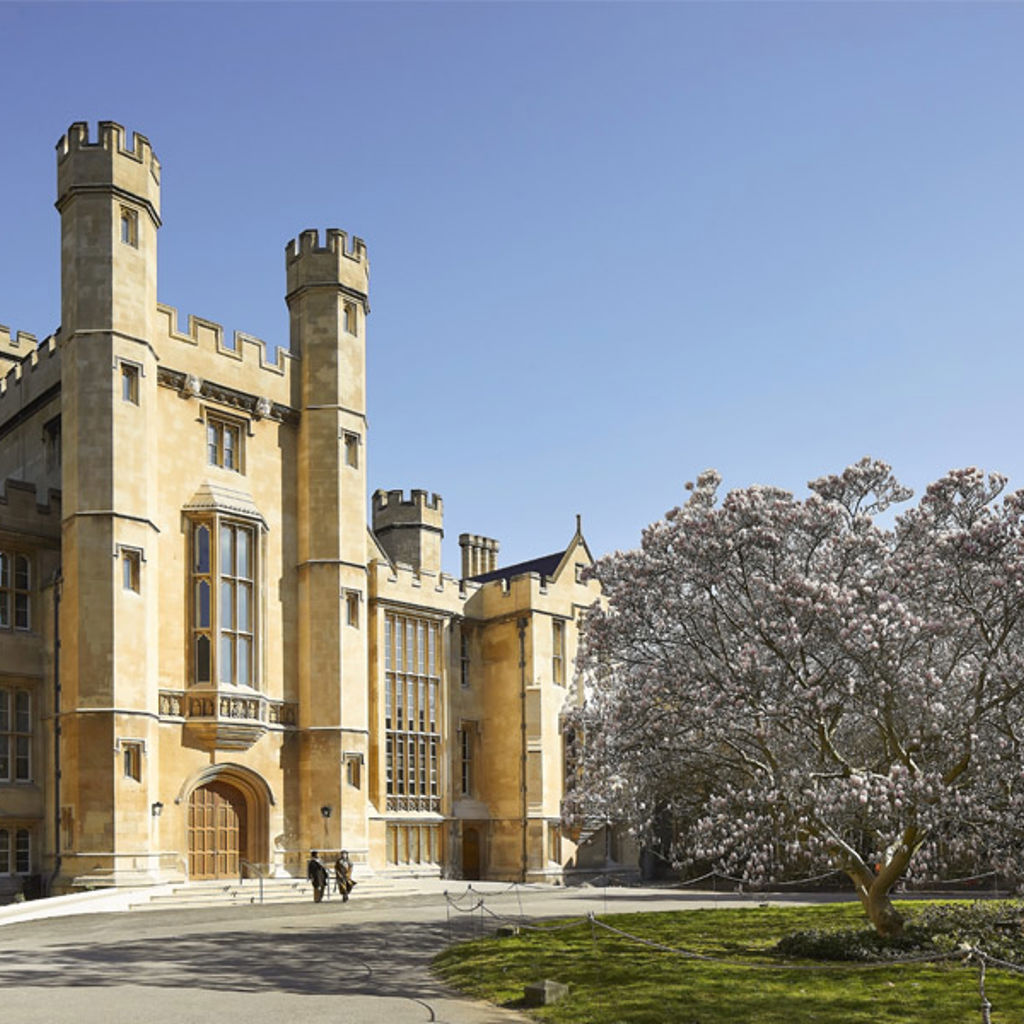 A large building with a tree in front of it.