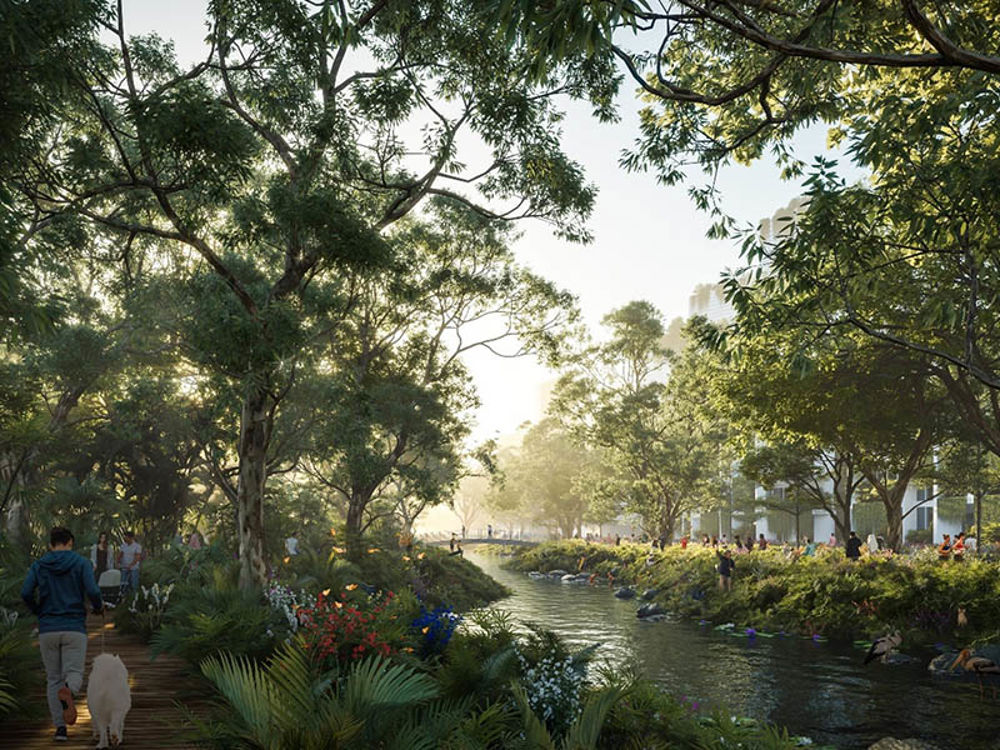Artist impression of forest with river and walking tracks near a city
