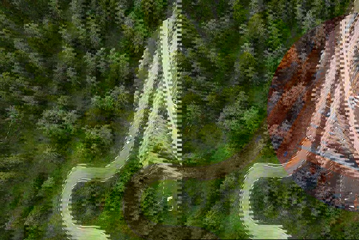 Aerial view of. a path through a wood