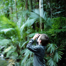 Rebalancing our relationship with nature