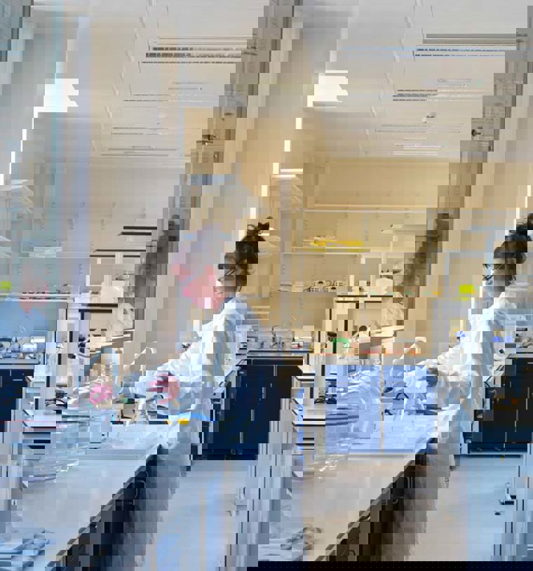 Scientist at work in a lab