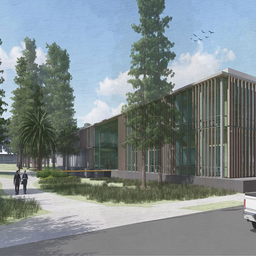 A building with a glass front and a walking path lined with trees and grass.