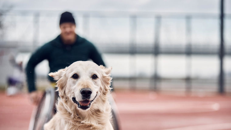 Man in a wheelchair and a dog racing on a running track