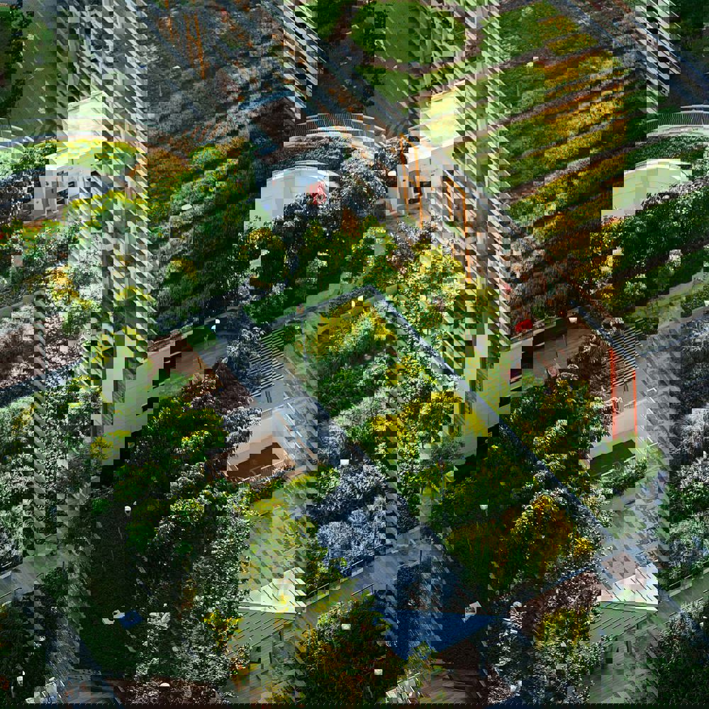 Interpretation of an urban farm