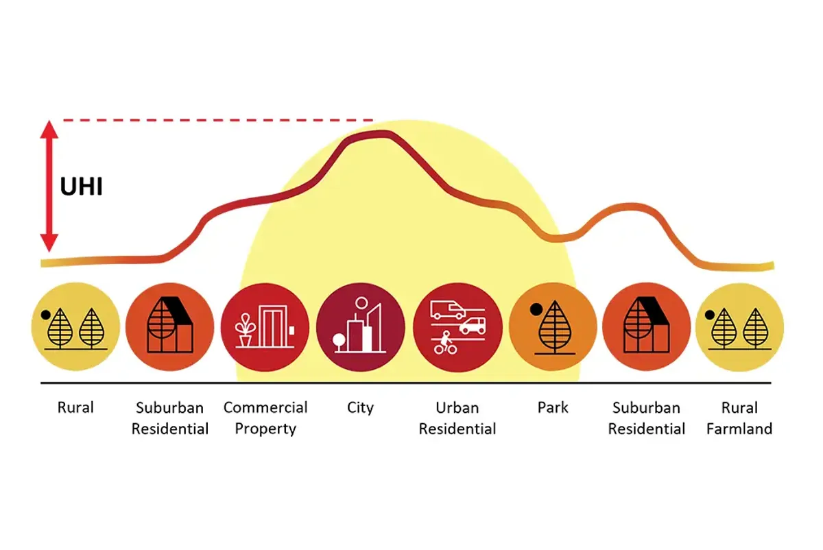 An infographic showing that heat is higher in the CBD compared to rural settings