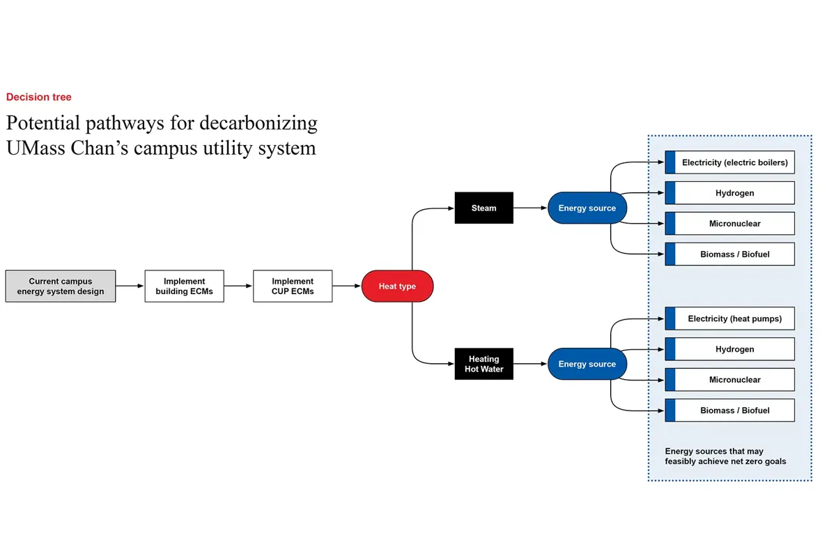 Decarbonising hospitals infographic