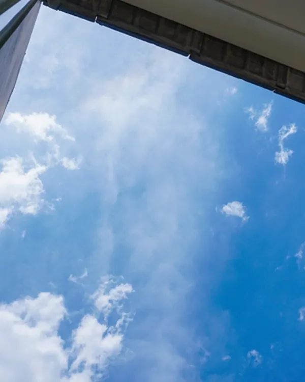 A view looking up at the sky.
