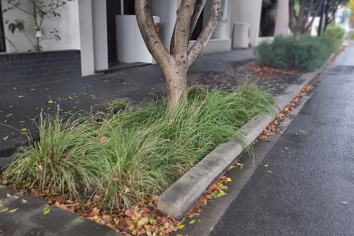Extended curb with garden bed with trees and shrubs